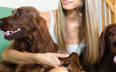 The Initial Consultation with Your Pet Sitter/Dog Walker – What to Expect