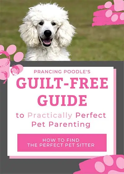 Guide-Free-Guide-to-practically-perfect-pet-parenting Guilt-Free Guide - The Practically Perfect Pet Parenting