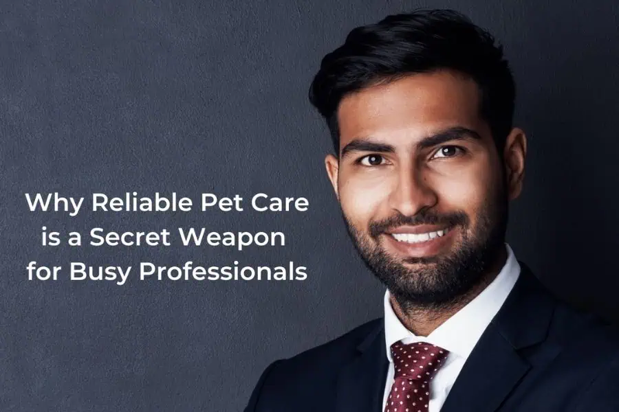Why Reliable Pet Care Is a Secret Weapon for Busy Professionals