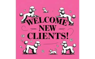 Making the Right Choices for Pet Care