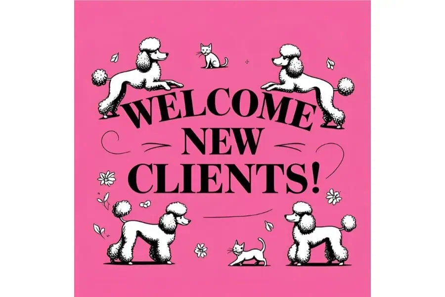 Making the Right Choices for Pet Care