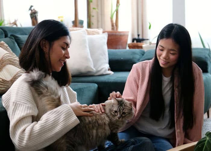 Care That Fits Your Pet's Life