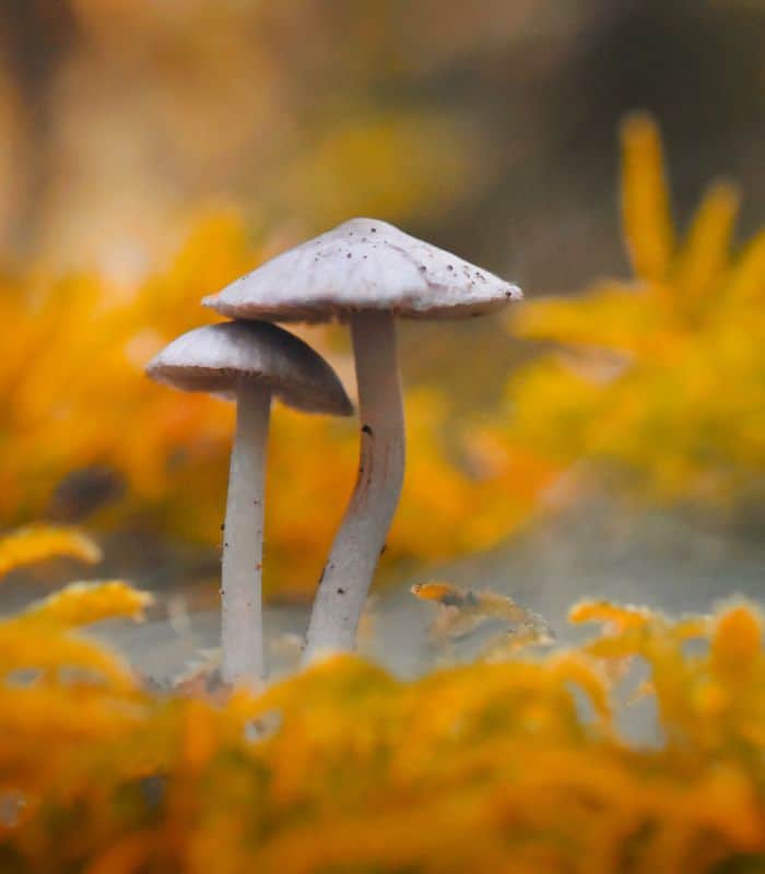 Fall Hazards We Watch For
